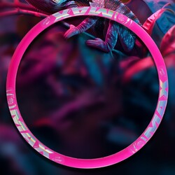 LLANTA  26 VPR MAX DH F DISC/ADS CAMALEAO/ROSA CHICLETE