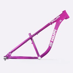 CHASSI HUPI NAJA V10 ROXO / ROSA HORIZONTAL