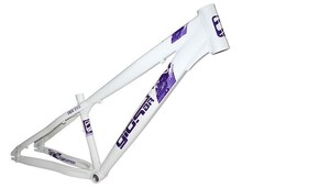CUADRO GIOS FRX EVO - BLANCO E LILA