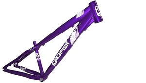 CUADRO GIOS FRX EVO - LILA E BLANCO